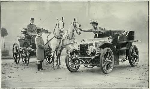 Picture of the training program