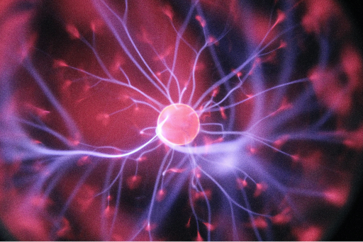 Picture of the training program